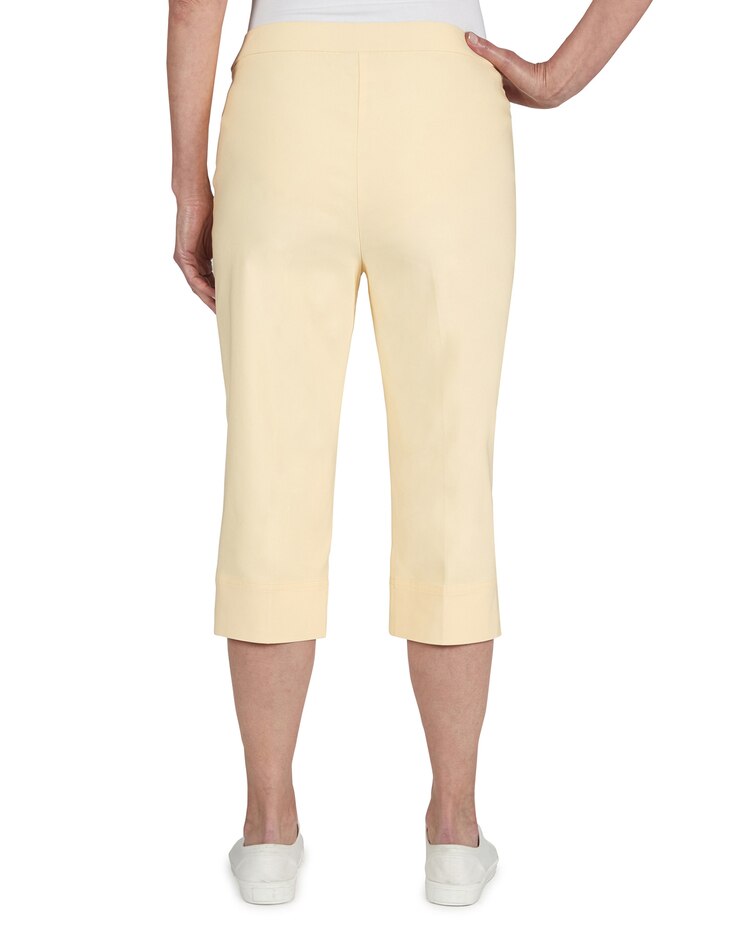 Alfred Dunner® Classic Allure Stretch Clamdigger Capri image number 5