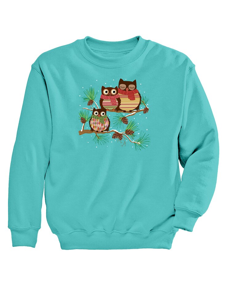 Winter Owl Graphic Sweatshirt image number 1