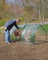 ShelterLogic Grow IT Small Greenhouse thumbnail number 3