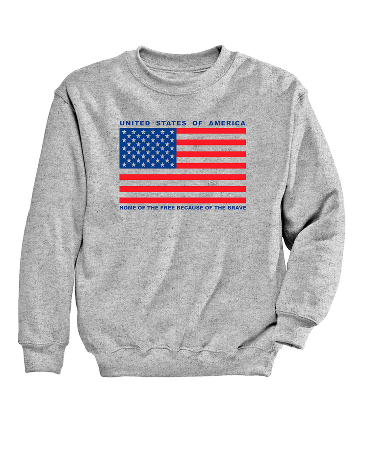 USA Flag Graphic Sweatshirt image number 1