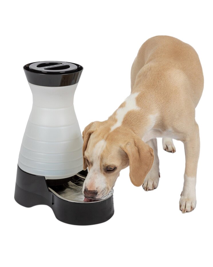 Healthy Pet Water Station image number 2