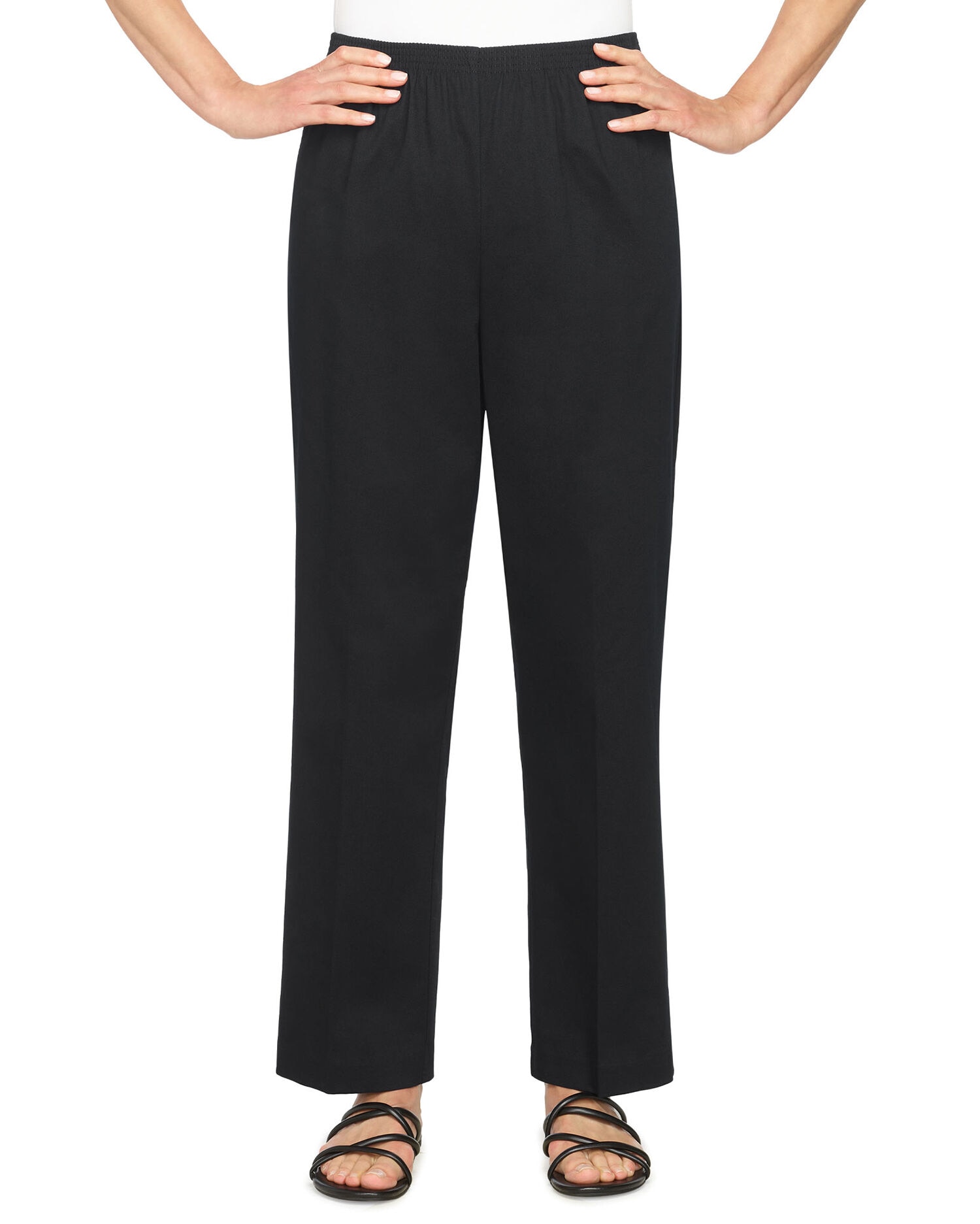 Alfred Dunner Classic Pull On Twill Proportioned Straight Leg Pants Blair