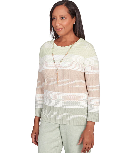 Alfred Dunner® English Garden Texture Stripe Crew Neck Sweater with Necklace