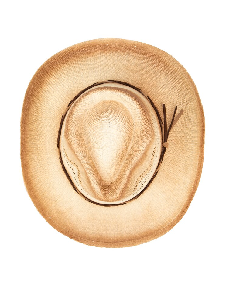 Down To Earth - Woven Paper Cowboy Hat image number 5