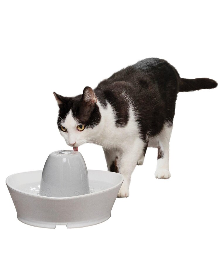 Creekside Ceramic Pet Fountain image number 1