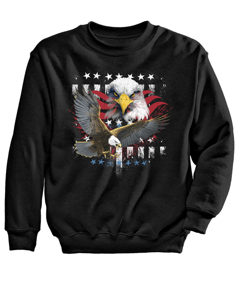 Eagle Air Graphic Sweatshirt