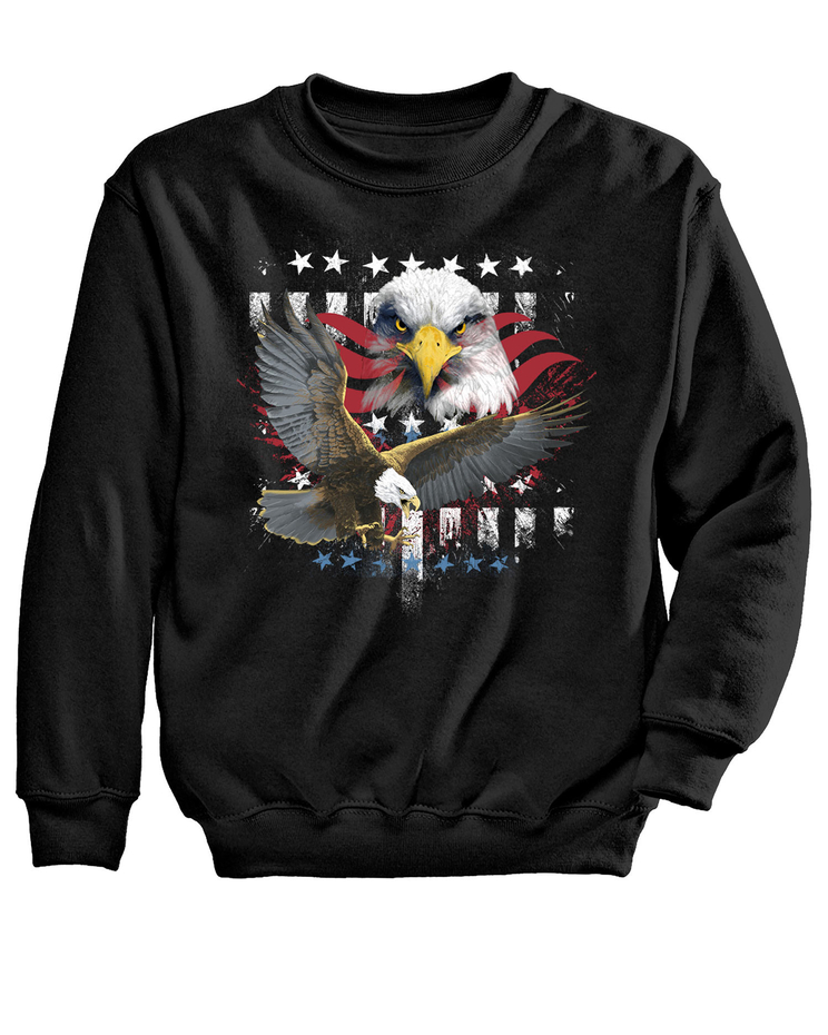 Eagle Air Graphic Sweatshirt image number 1