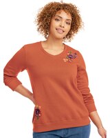 Embellished V-Neck Sweatshirt thumbnail number 1