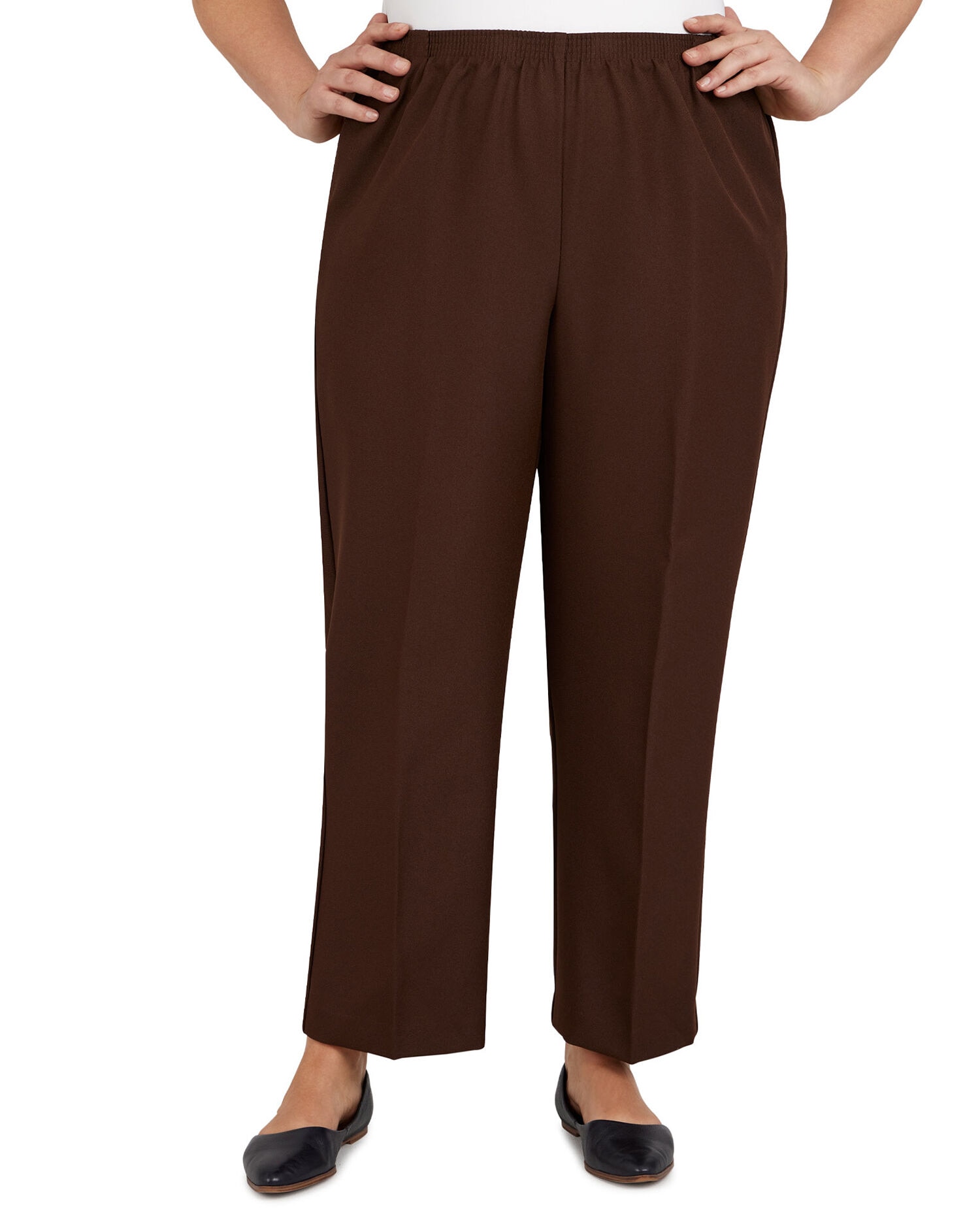 Alfred dunner plus size classic pants clearance