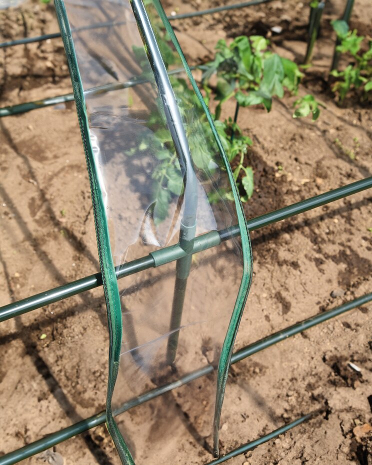ShelterLogic Grow IT Small Greenhouse image number 2