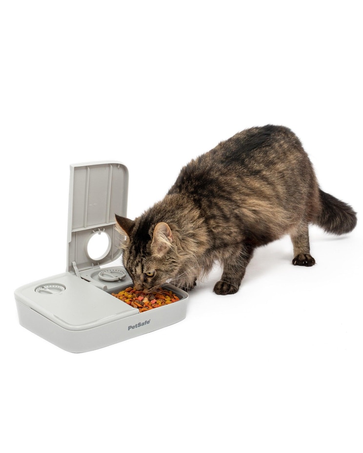 Automatic 2 Meal Pet Feeder image number 1
