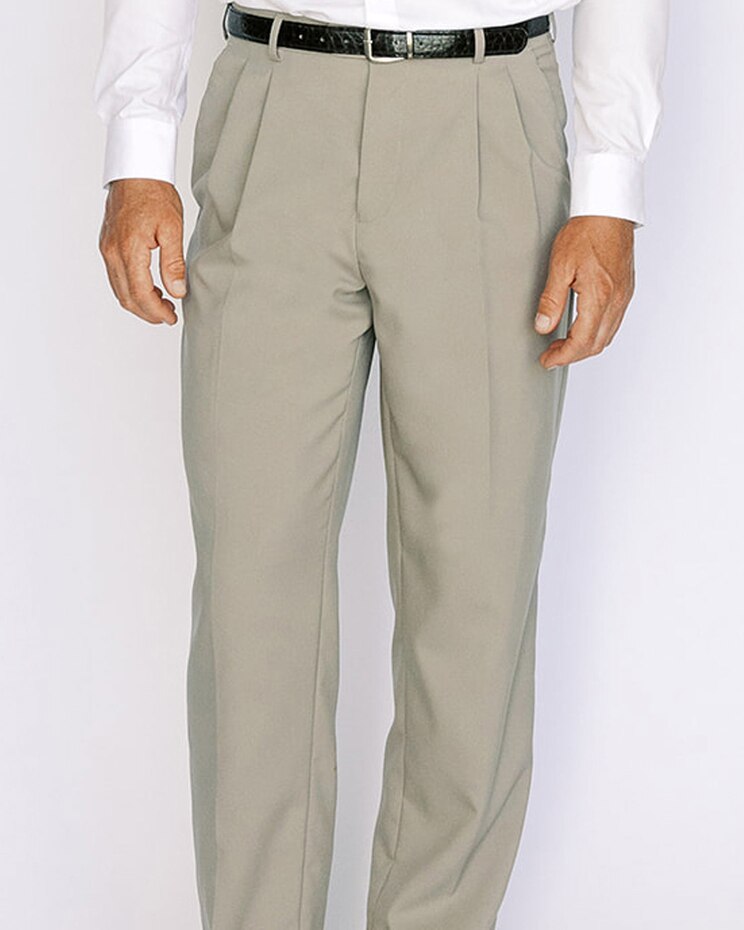 Bocaccio Regular Fit Pleated Dress Pant image number 1