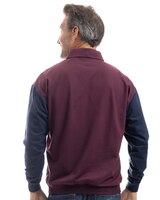 Palmland Long Sleeve Vertical Pieced Banded Bottom Polo thumbnail number 3