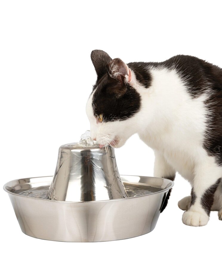 Seaside Stainless Pet Fountain image number 1