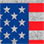 USA Flag Graphic Sweatshirt
