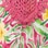 Tropical Hibiscus Easy Breezy Tunic